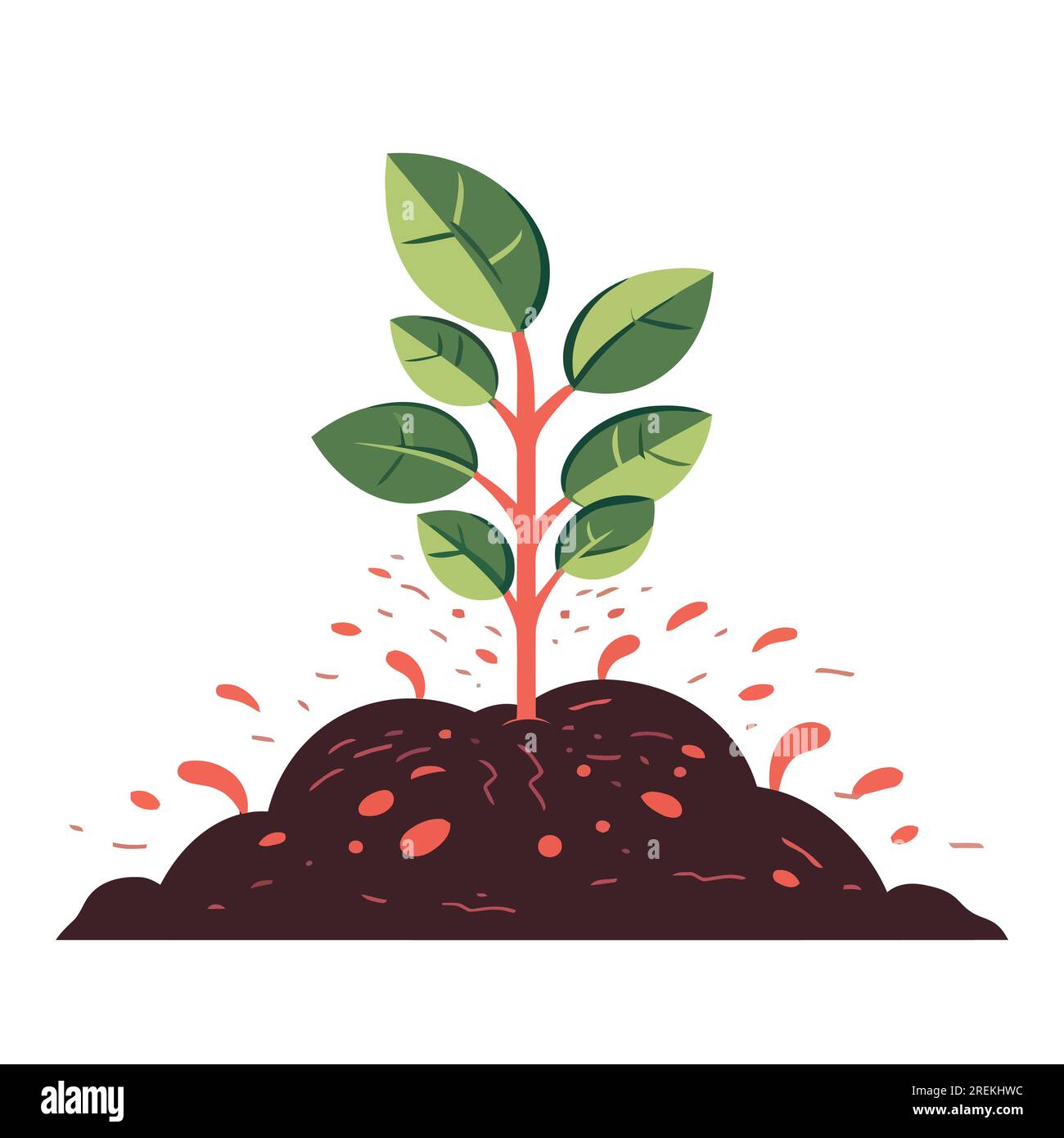 Young plant growing out of the ground. Plant growing from soil Stock