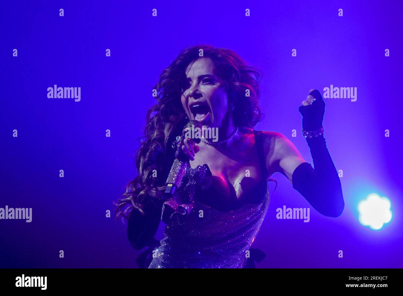The singer Gloria Trevi during a concert at the Teatro Real on July