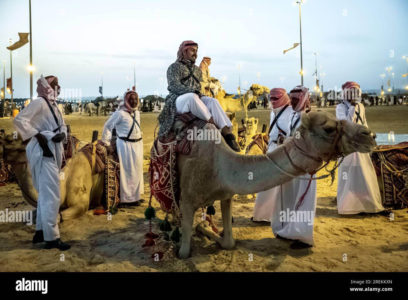 Desert safari camel ride festival in Abqaiq Dammam Saudi Arabia