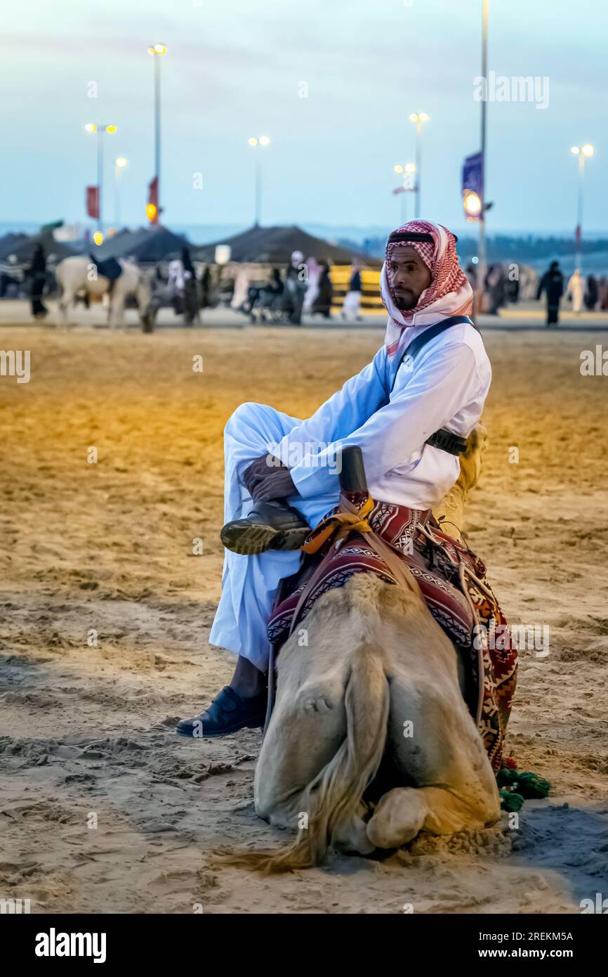 Desert safari camel ride festival in Abqaiq Dammam Saudi Arabia