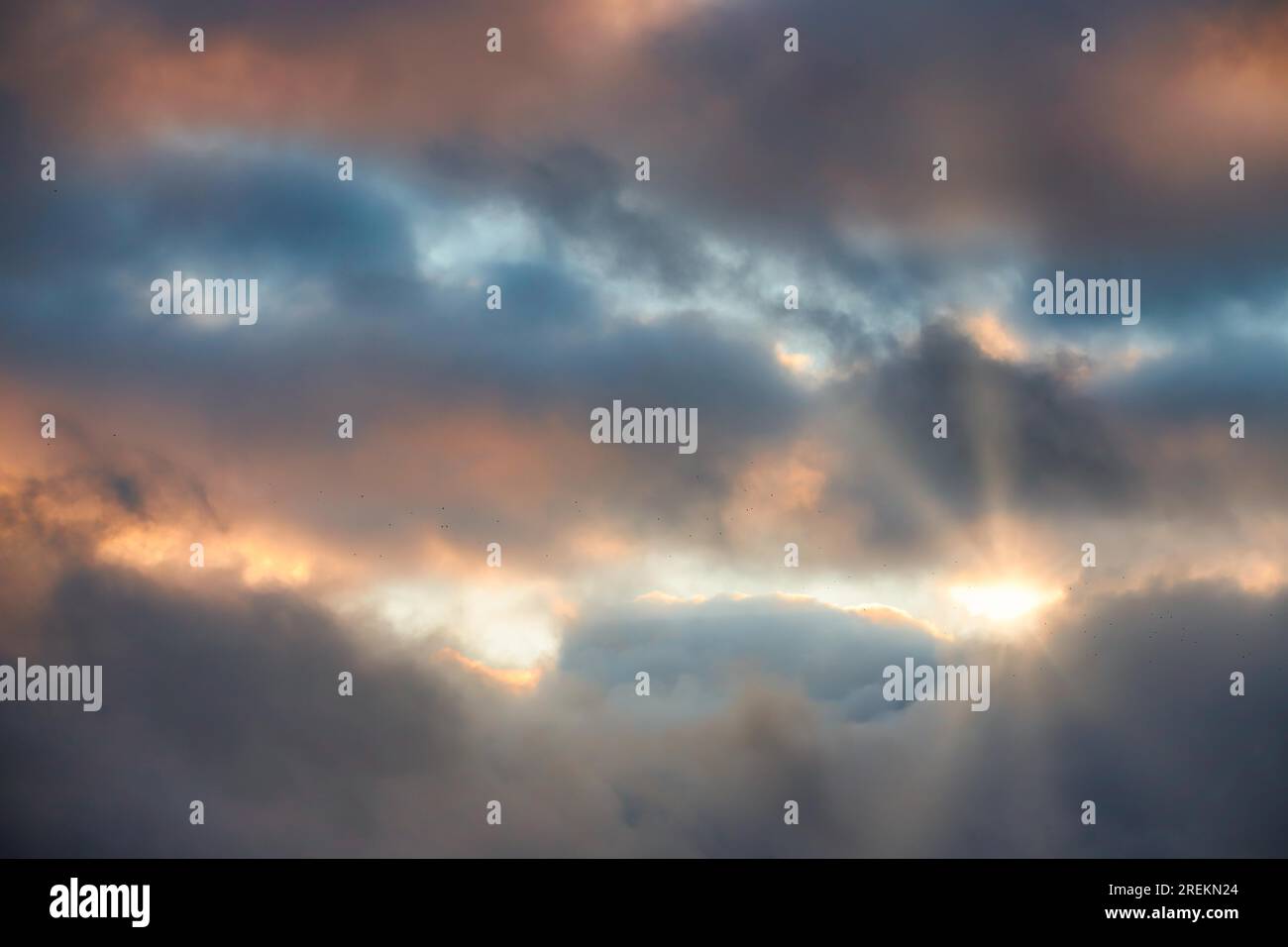 Atmospheric evening sky Texture sky to replace Stock Photo - Alamy