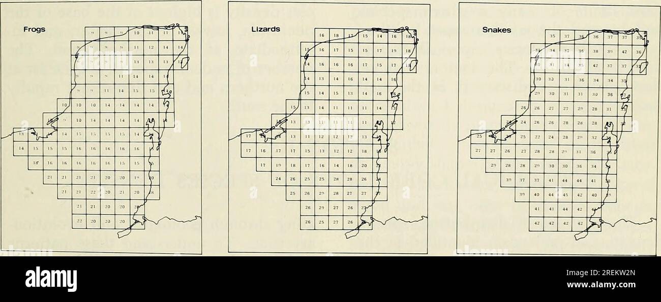 "An Ecogeographic Analysis Of The Herpetofauna Of The Yucatan Peninsula ...