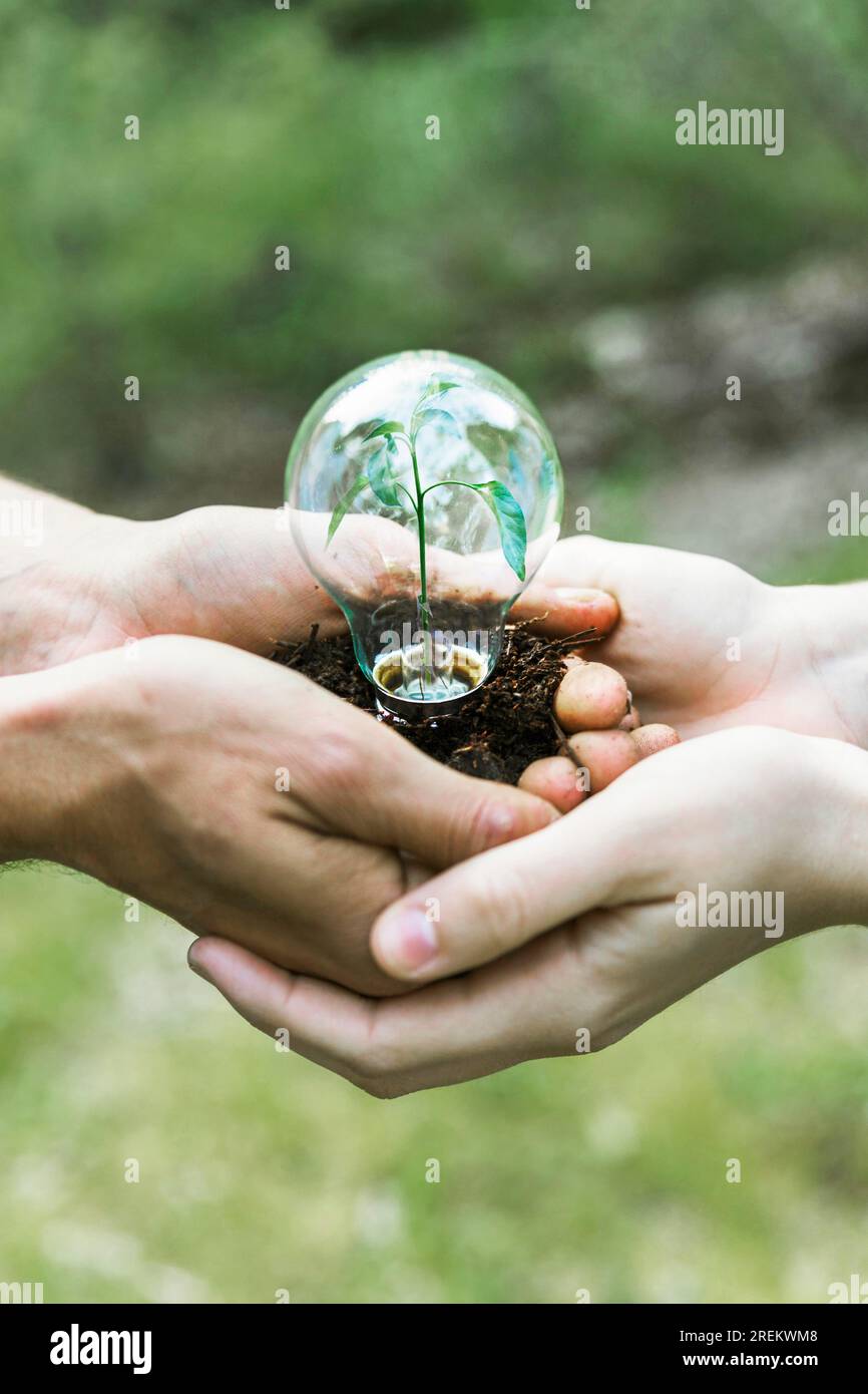 Light bulb plant hires stock photography and images Alamy