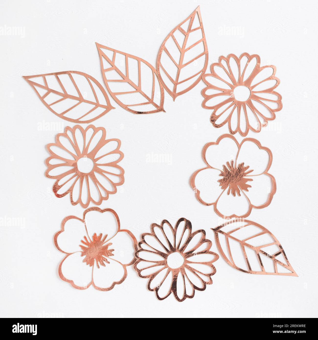 Laser cutting flower leaves white background Stock Photo