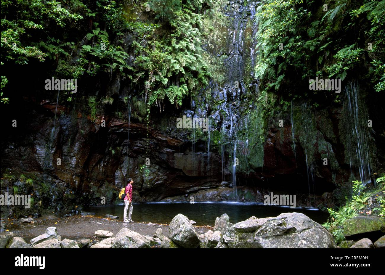 Hiking, Levada das 25 Fontes, Rabacal, Madeira Stock Photo - Alamy