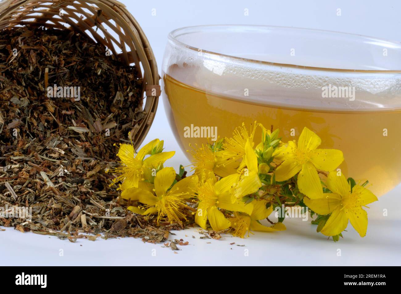 Cup with Common St John's wort tea, Spotted Common St John's wort