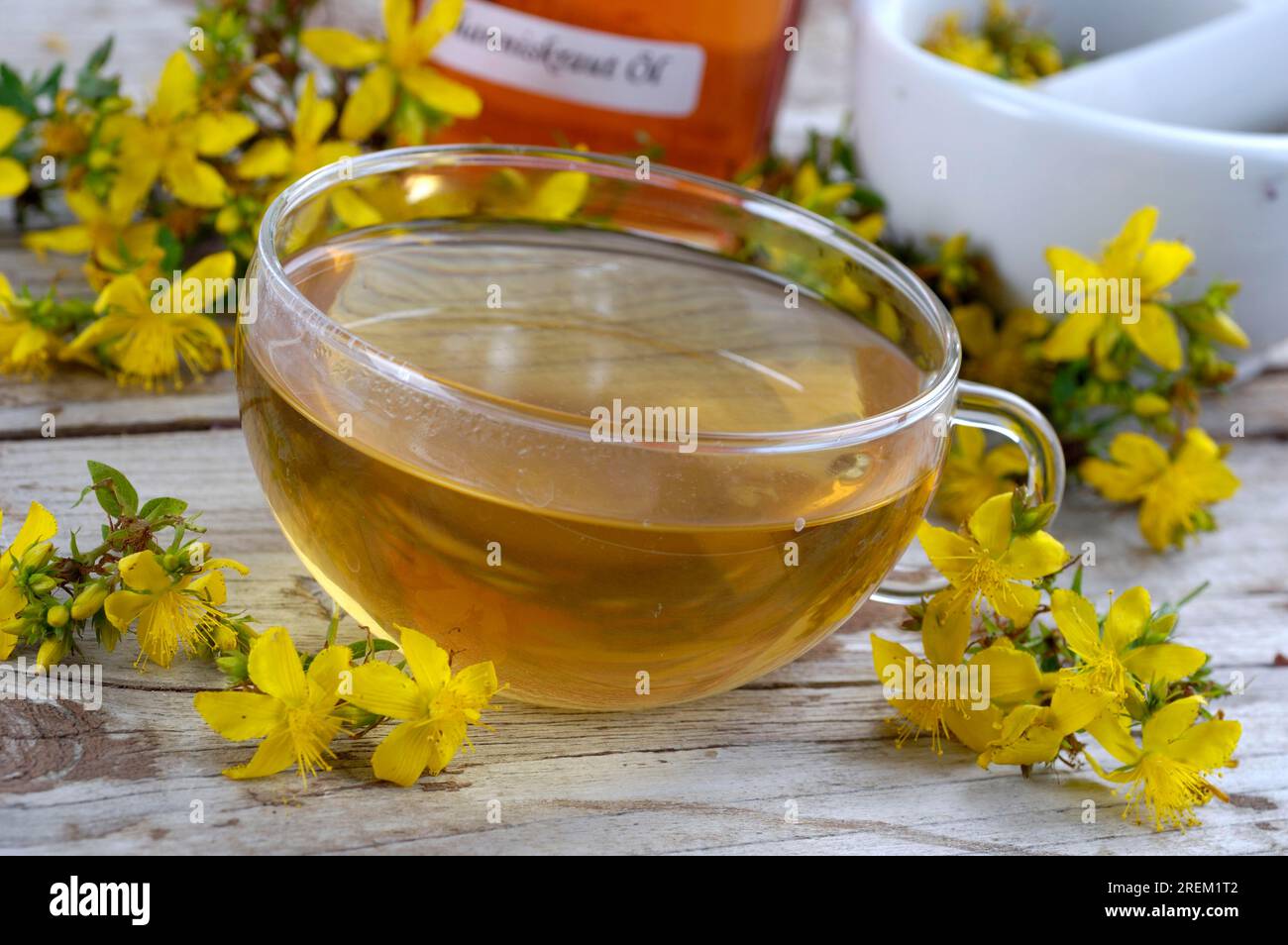 Cup with Common St John's wort tea, Spotted Common St John's wort