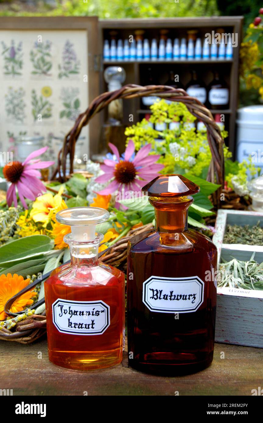 Bloodroot tincture and St. John's wort oil, herbal pharmacy, St. John's