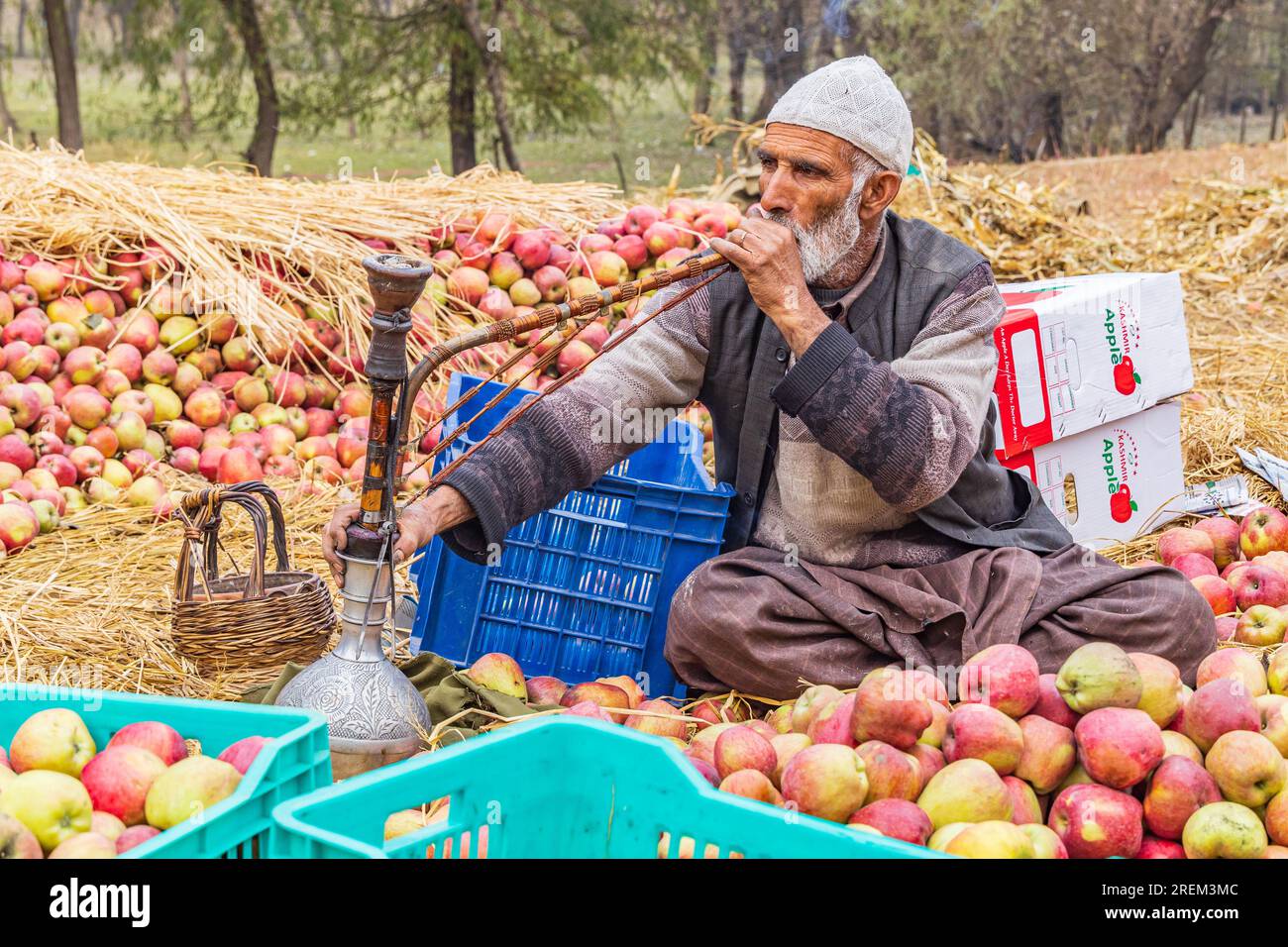 Raiyar Beruwa, Khansahib Tehsil, Jammu and Kashmir, India. October 31, 2022. Apple packer smoking tobacco. Stock Photo