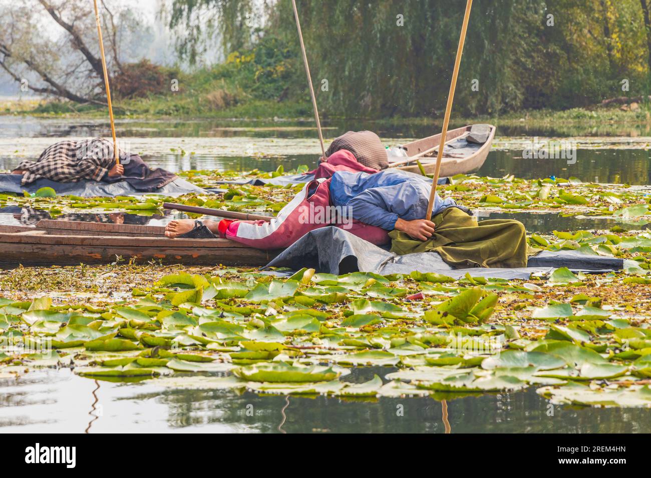 Dal Lake, Srinagar, Jammu and Kashmir, India. November 1, 2022. Men napping on their boats at Dal Lake. Stock Photo