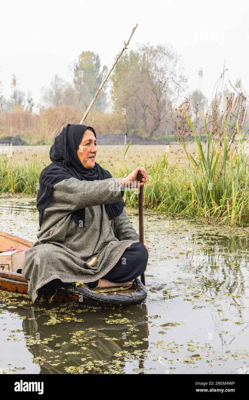 Rainawari, Srinagar, Jammu and Kashmir, India. November 2, 2022. Woman paddling a traditional boat on Dal Lake. Stock Photo