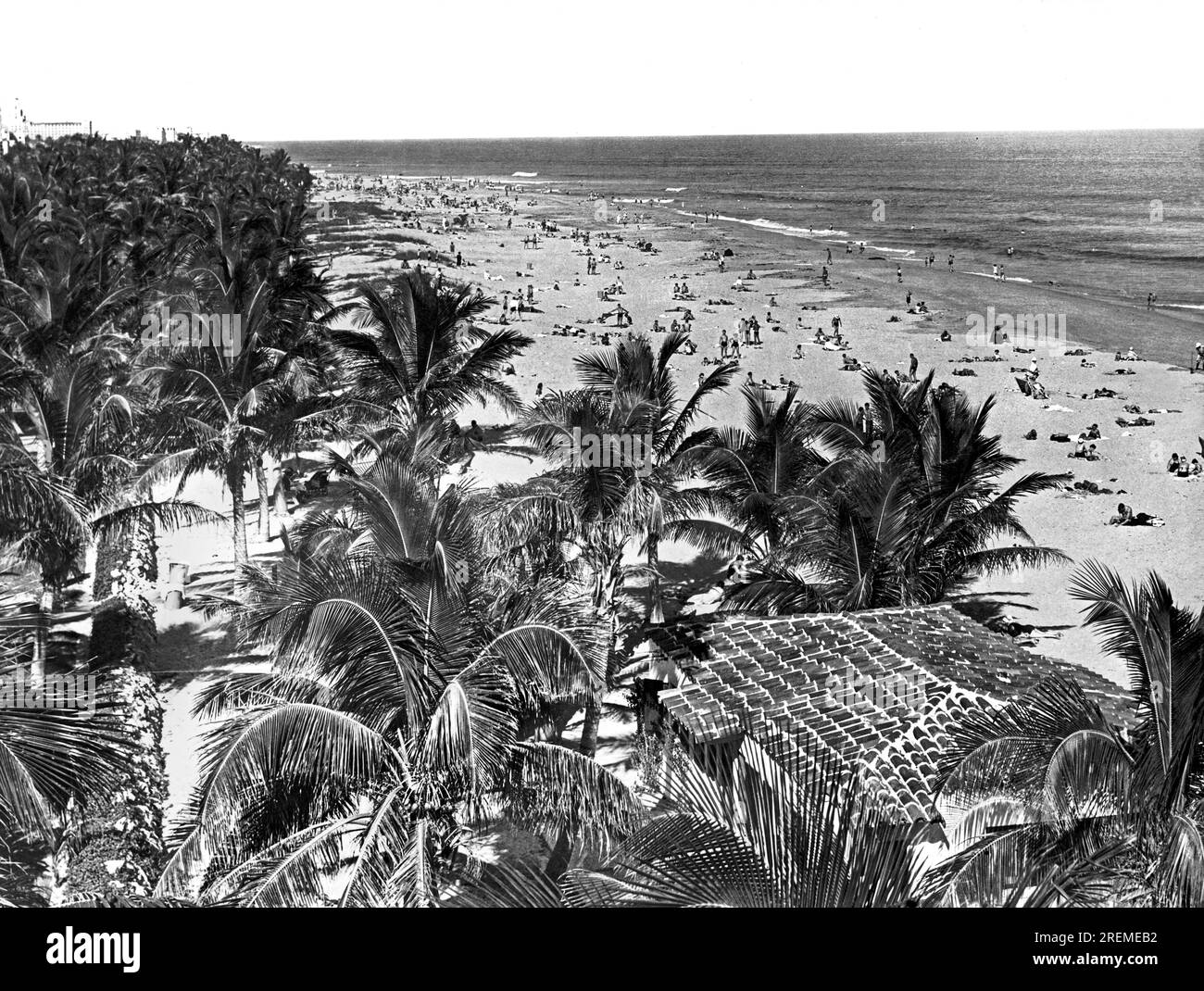 Miami Beach, Florida:  c. 1948 Miami Beach with Lummus Park in the foreground and the hotels are visible at the far left. Stock Photo