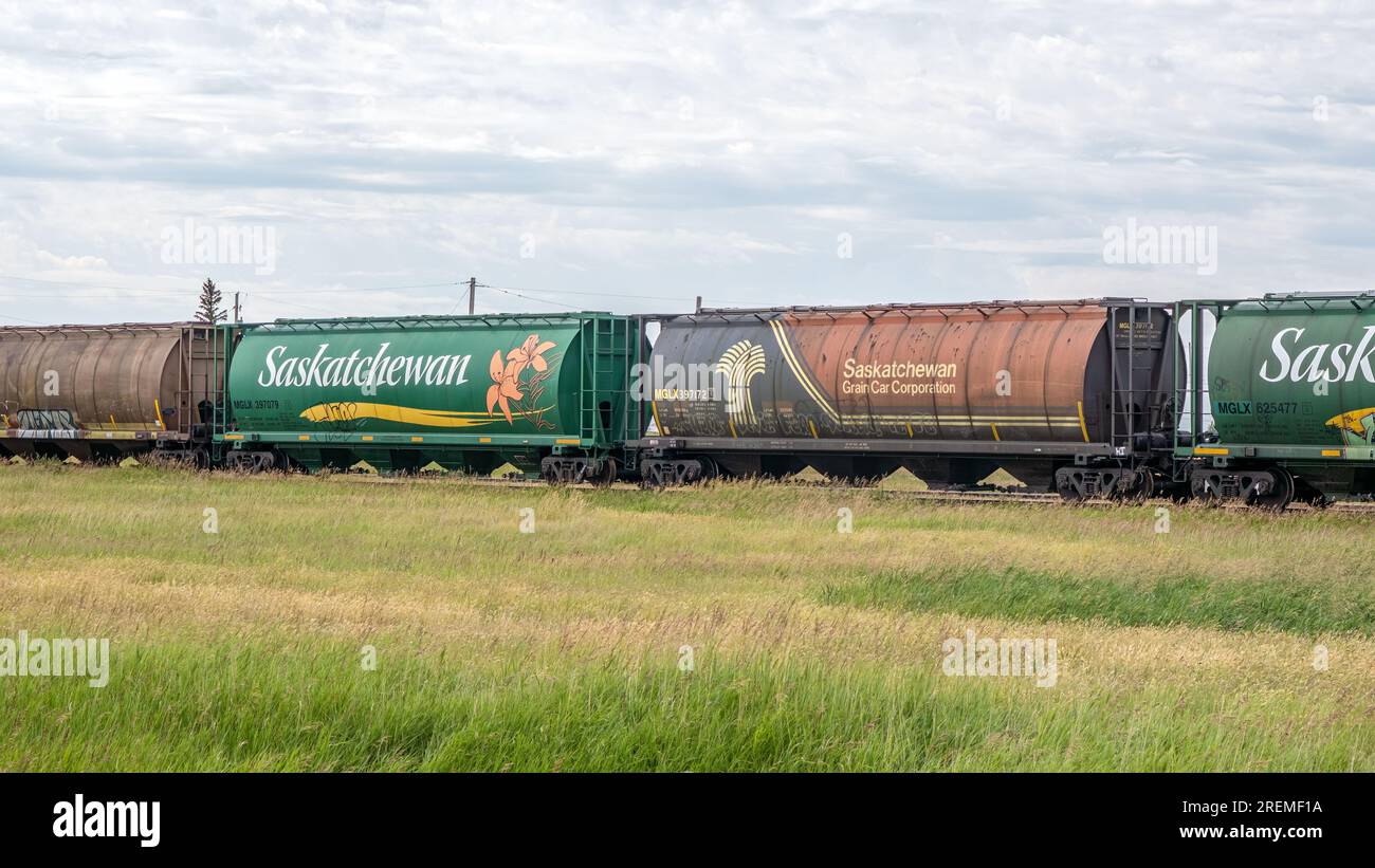 Railway grain cars sit on a siding in rural Saskatchewan. Stock Photo