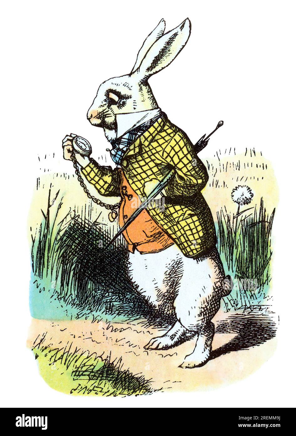 White Rabbit Late Alice in Wonderland colored Tenniel illustration Stock Photo