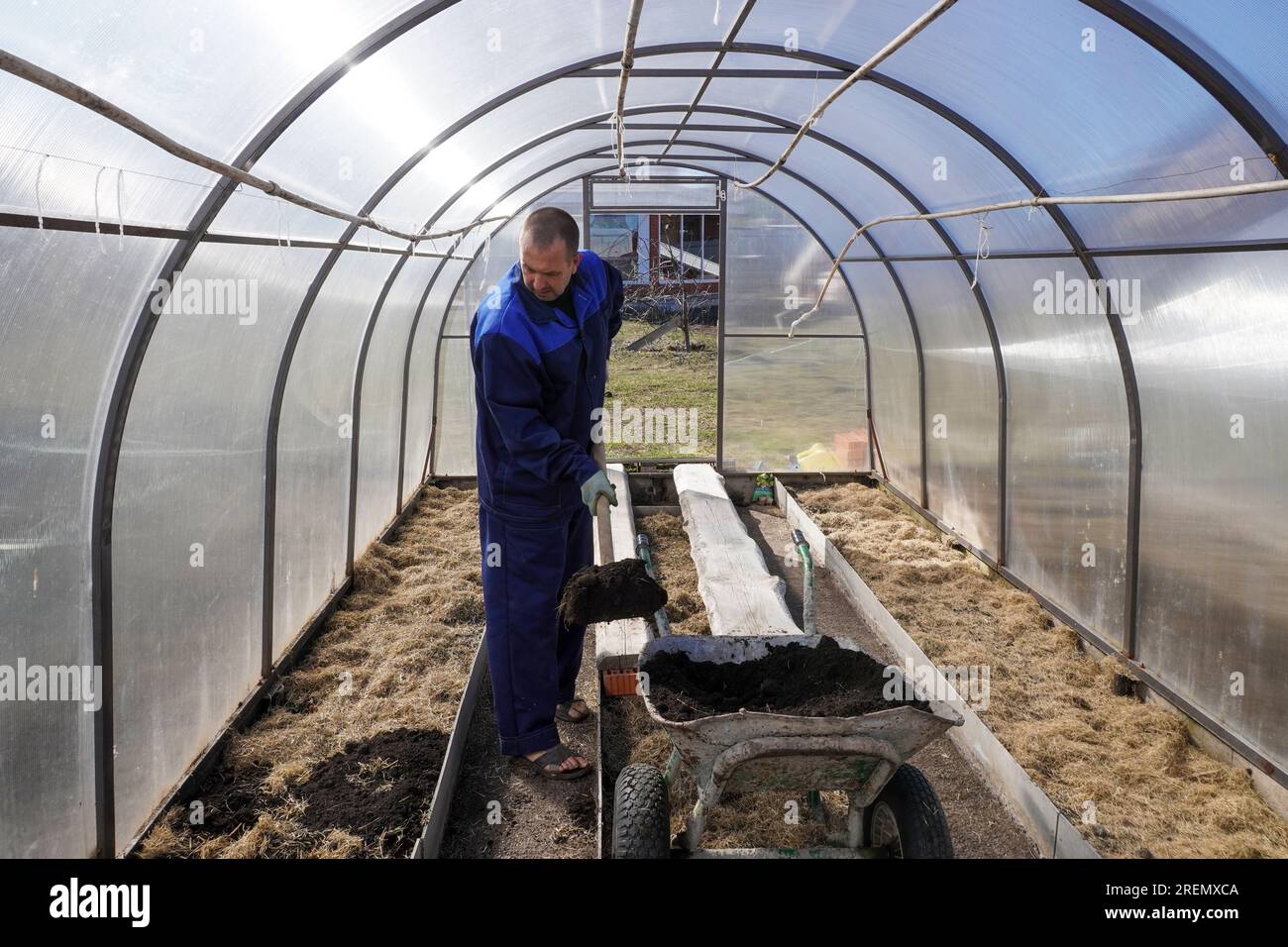 A man works in a vegetable garden in early spring. Digs the ground ...