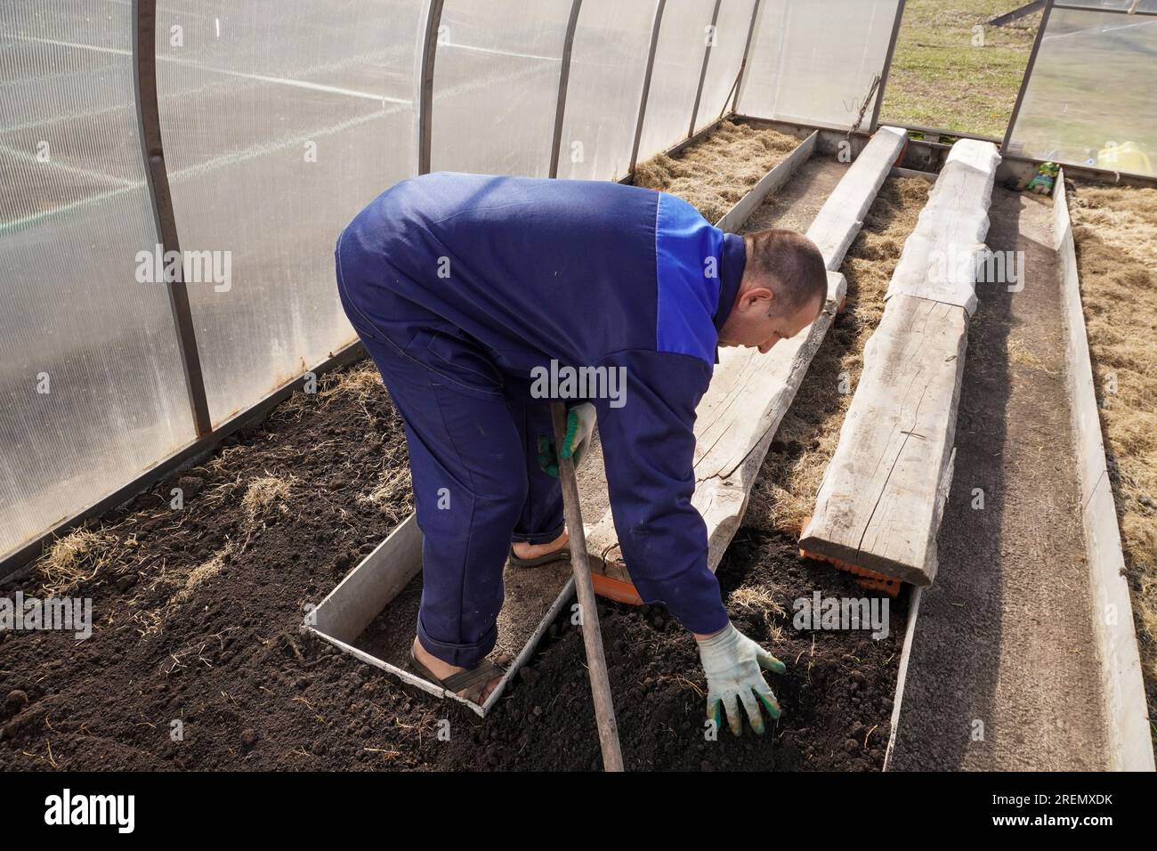 A man works in a vegetable garden in early spring. Digs the ground ...