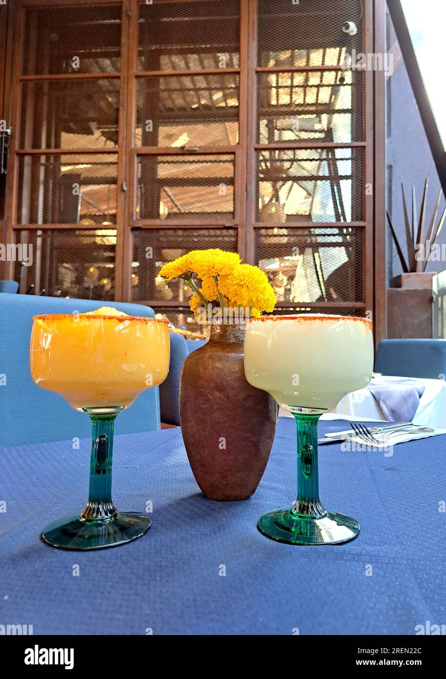 Cups in the shape of a cactus frosted with mango and lemon flavored chili  Margarita cocktail drinks with tequila typical of Mexico Stock Photo - Alamy