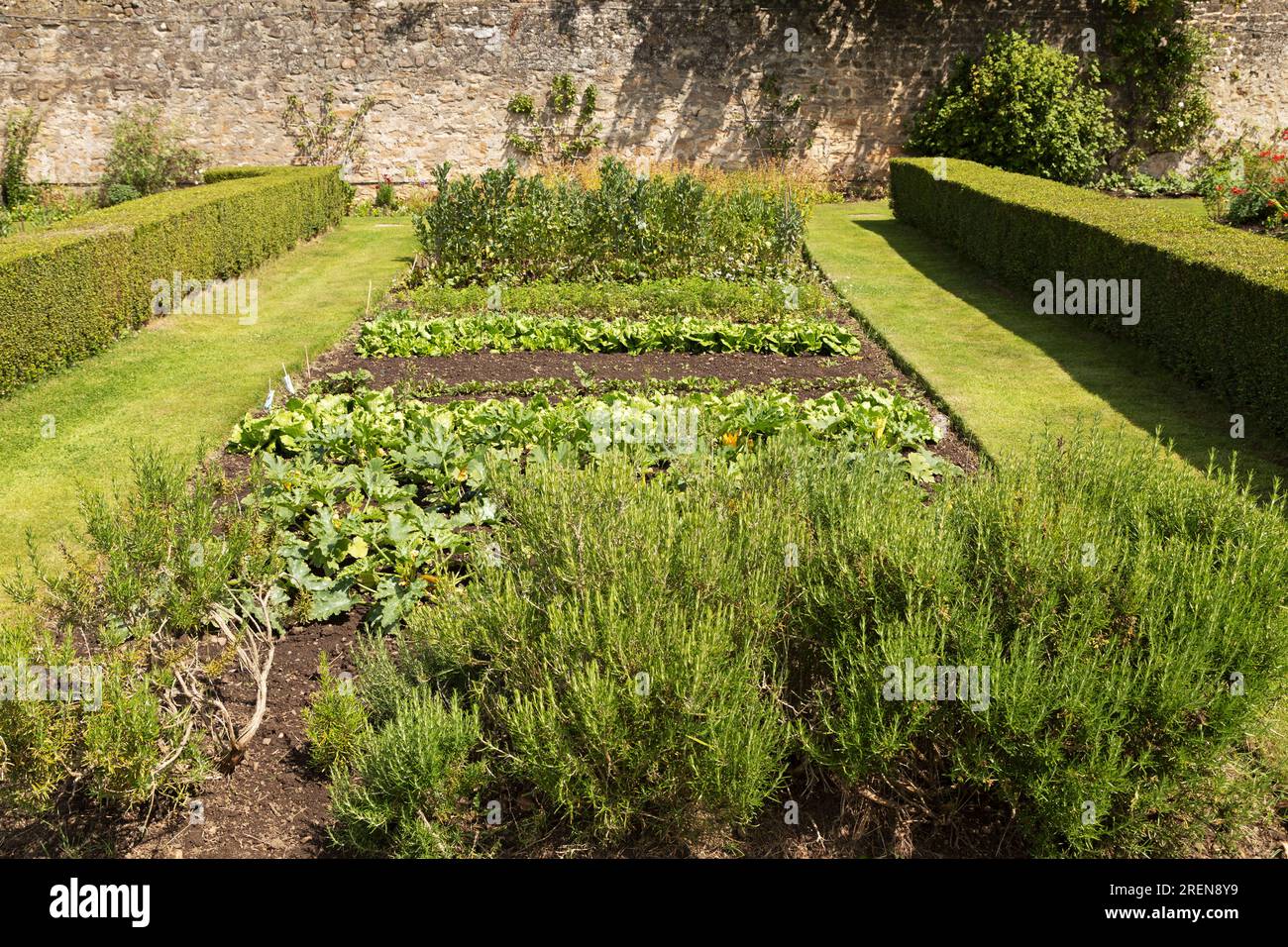 A walled garden in England. Herbs and vegetables grow in the garden