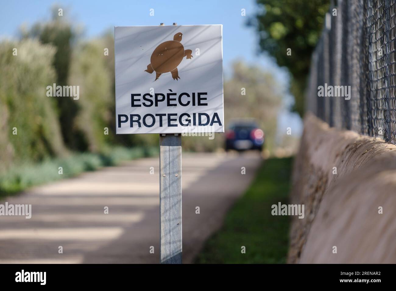 warning for the protection of the spur-thighed tortoise, Llucmajor, Mallorca, Balearic Islands, Spain Stock Photo