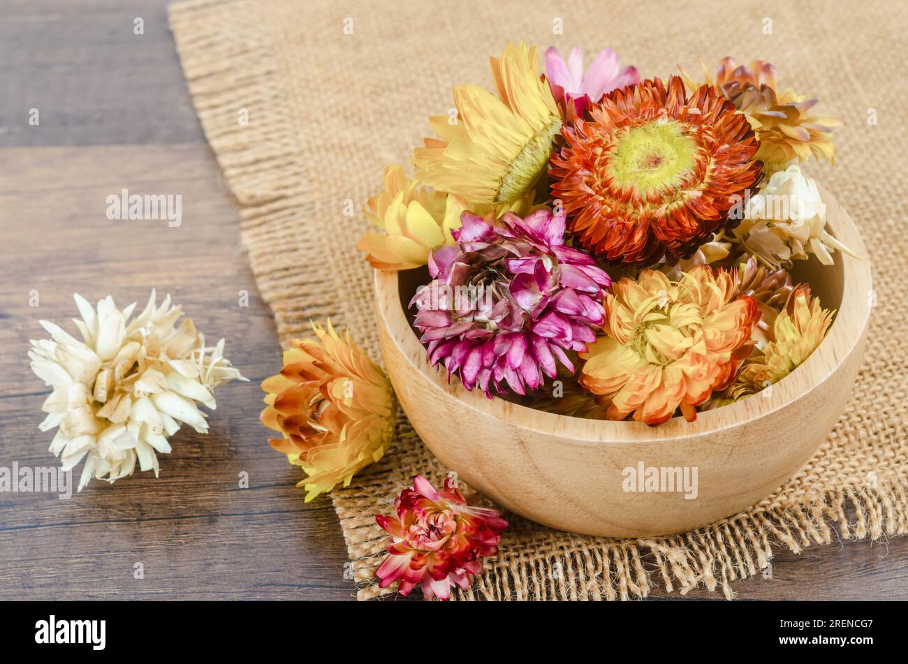 Dried straw flower heads in wooden cup on wooden background. Stock Photo