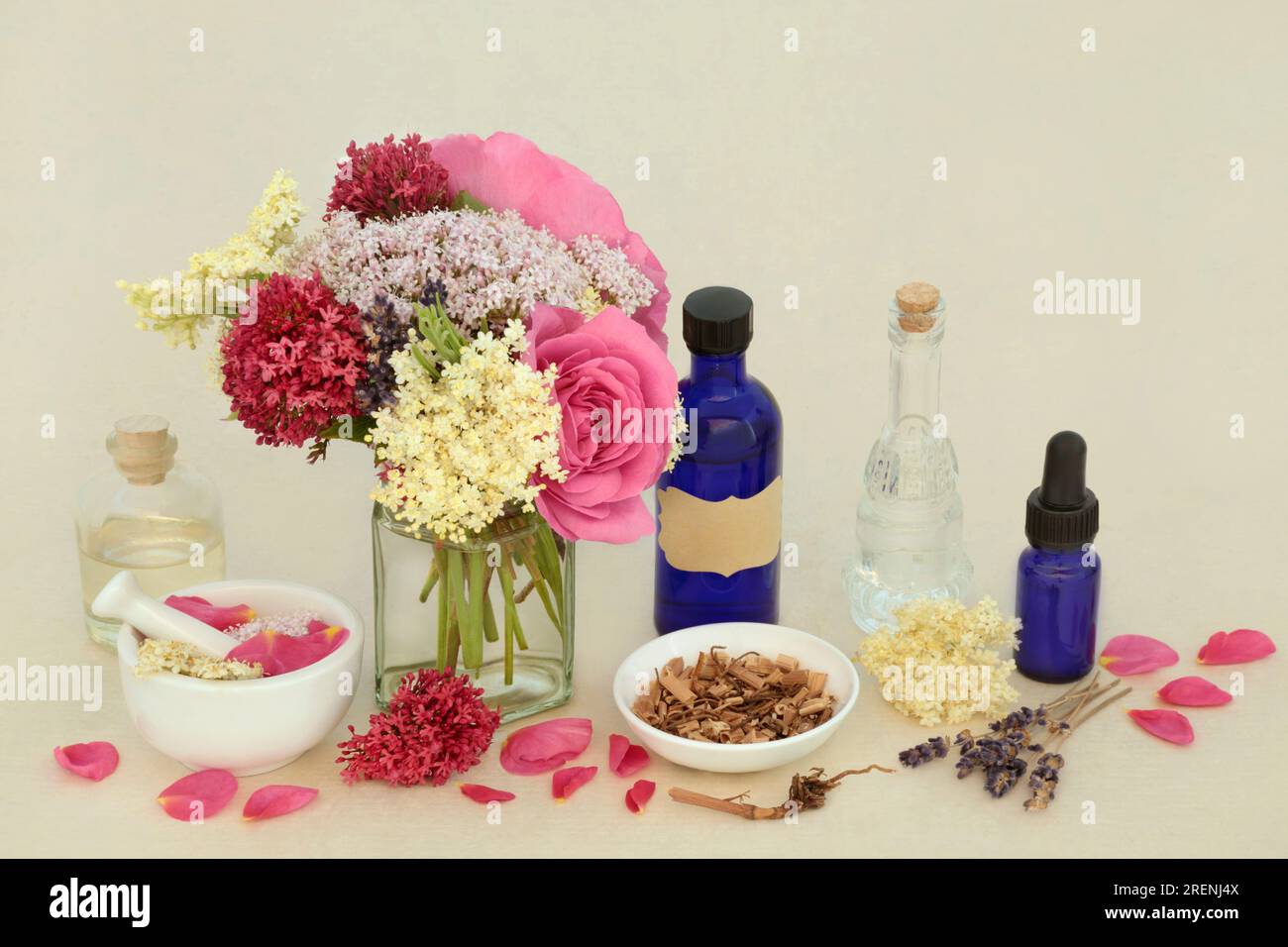 Adaptogen herbal medicine herbs and flowers with valerian root, rose