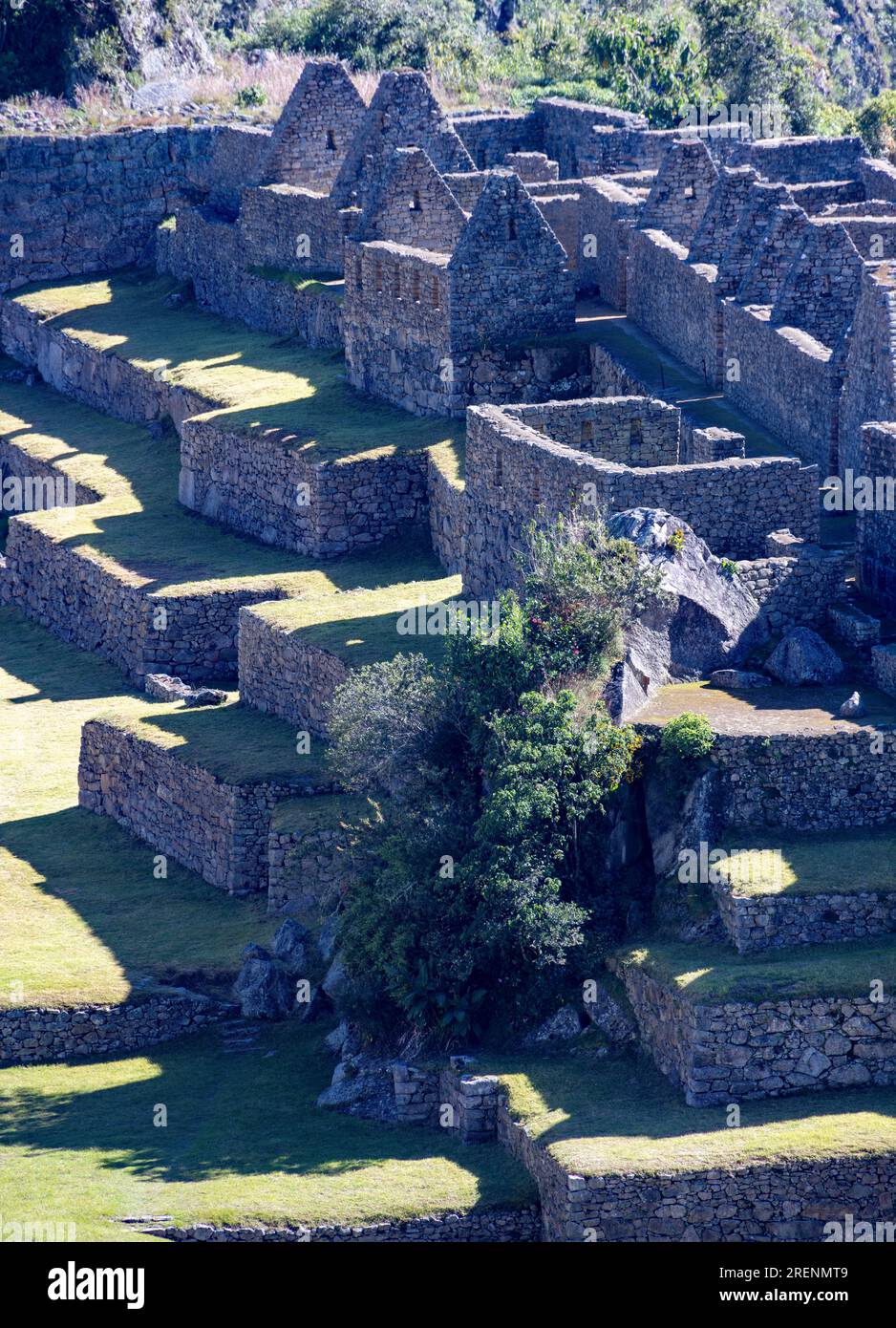 residential architecture, Inca ruins of Machu Picchu, Peru, South America Stock Photo