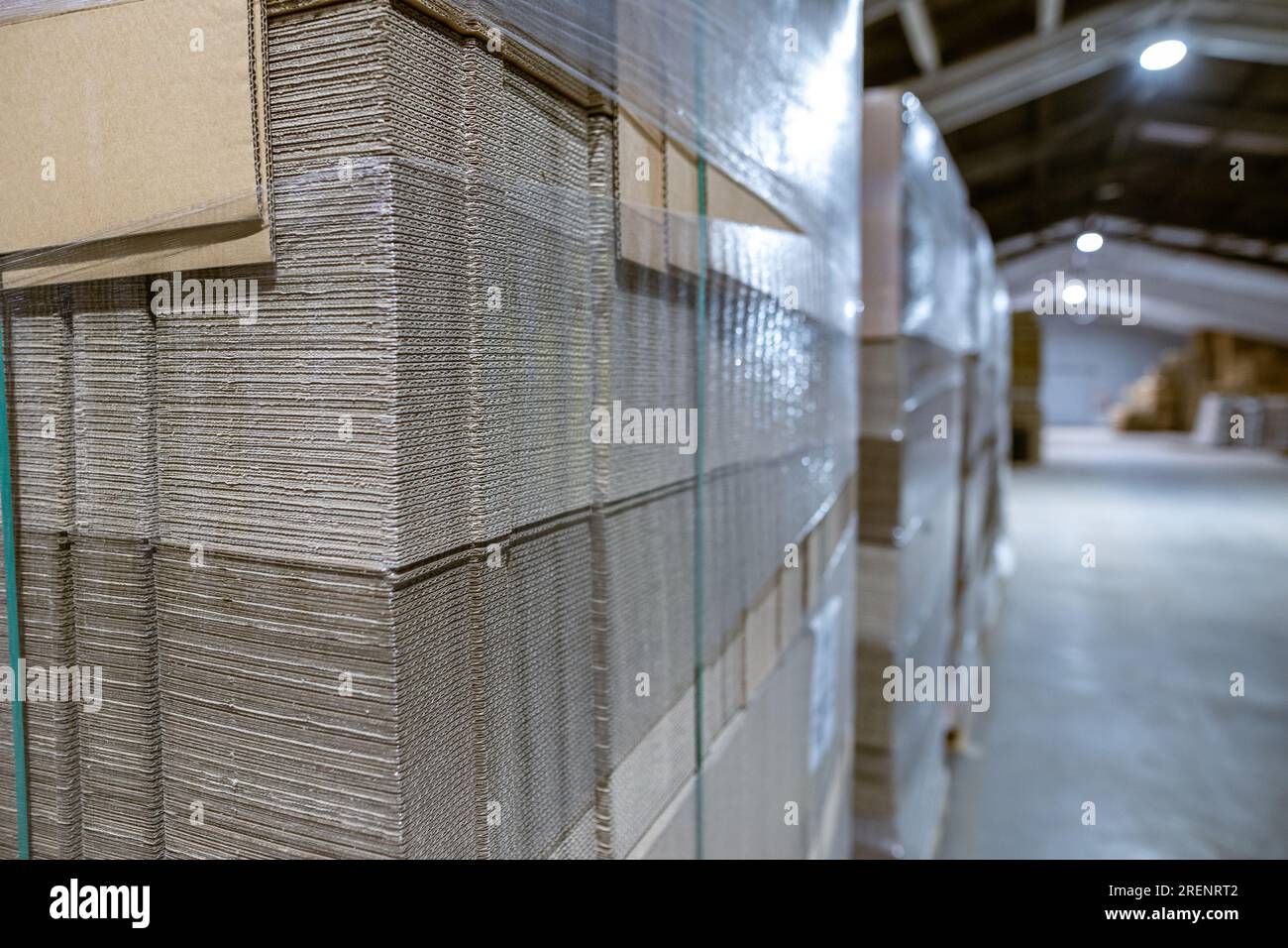 Folding cardboard boxes. Perforated sheets of corrugated cardboard a stack on pallets. Packaging of finished products in industrial production. Stock Photo