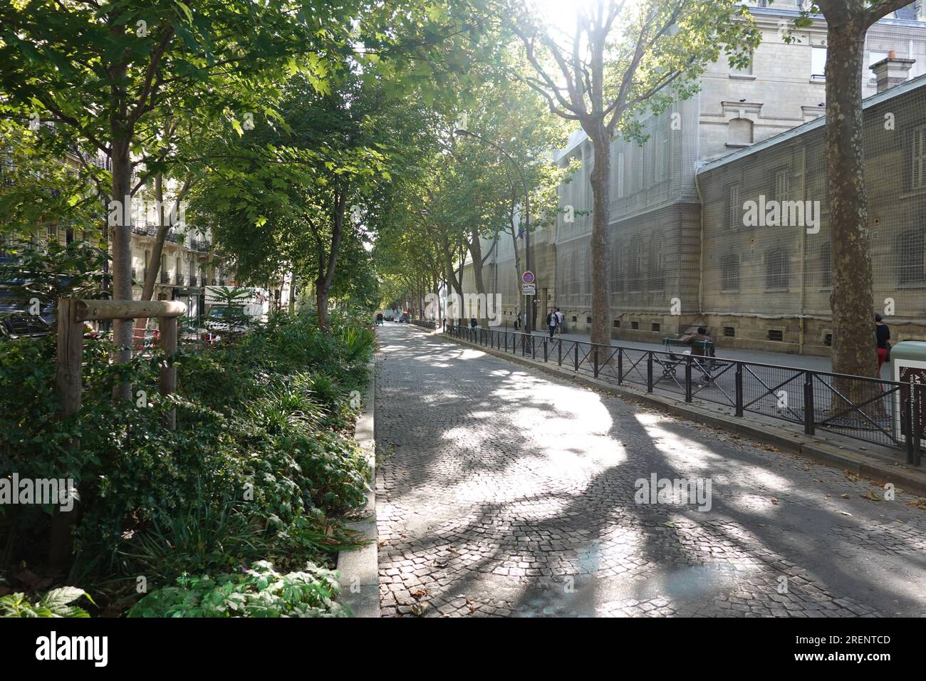 Paris, Avenue Trudaine, Begrünung // Paris, Avenue Trudaine, Greenery