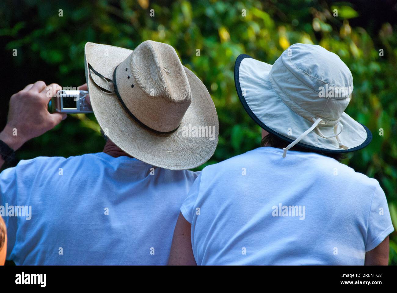 TURISTS IN A ECO-TOUR AT PARQUE NACIONAL TORTUGUERO. COSTA ATLÁNTICA. COSTA RICA. CENTRO AMERICA Stock Photo