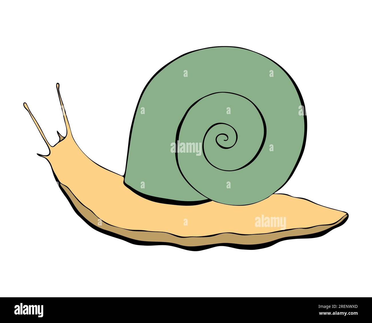 Snail hand drawn outline with green shell and yellow body, isolated