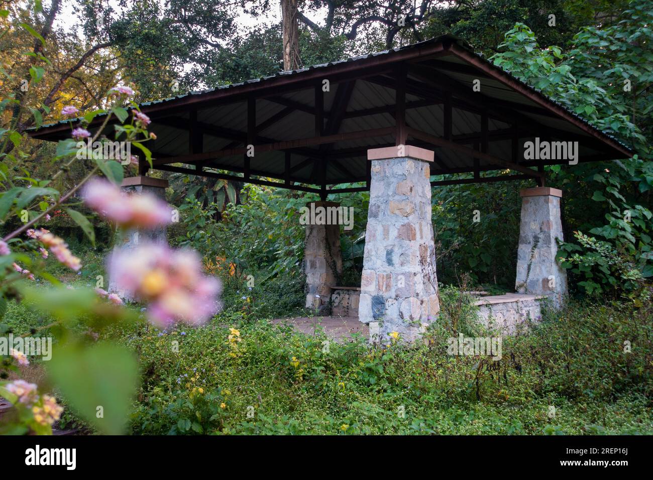 Pillar based canopy shelters in an outdoor park. Dehradun, India Stock Photo Alamy