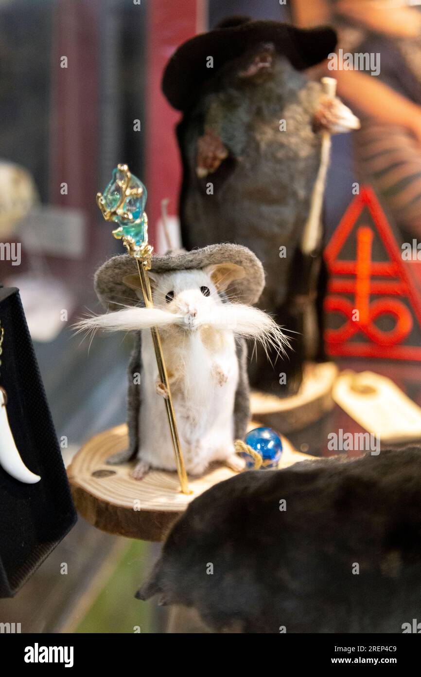 Taxidermy mouse dressed as a wizard at the North Laine Bazaar flea market, Brighton, East Sussex, England Stock Photo