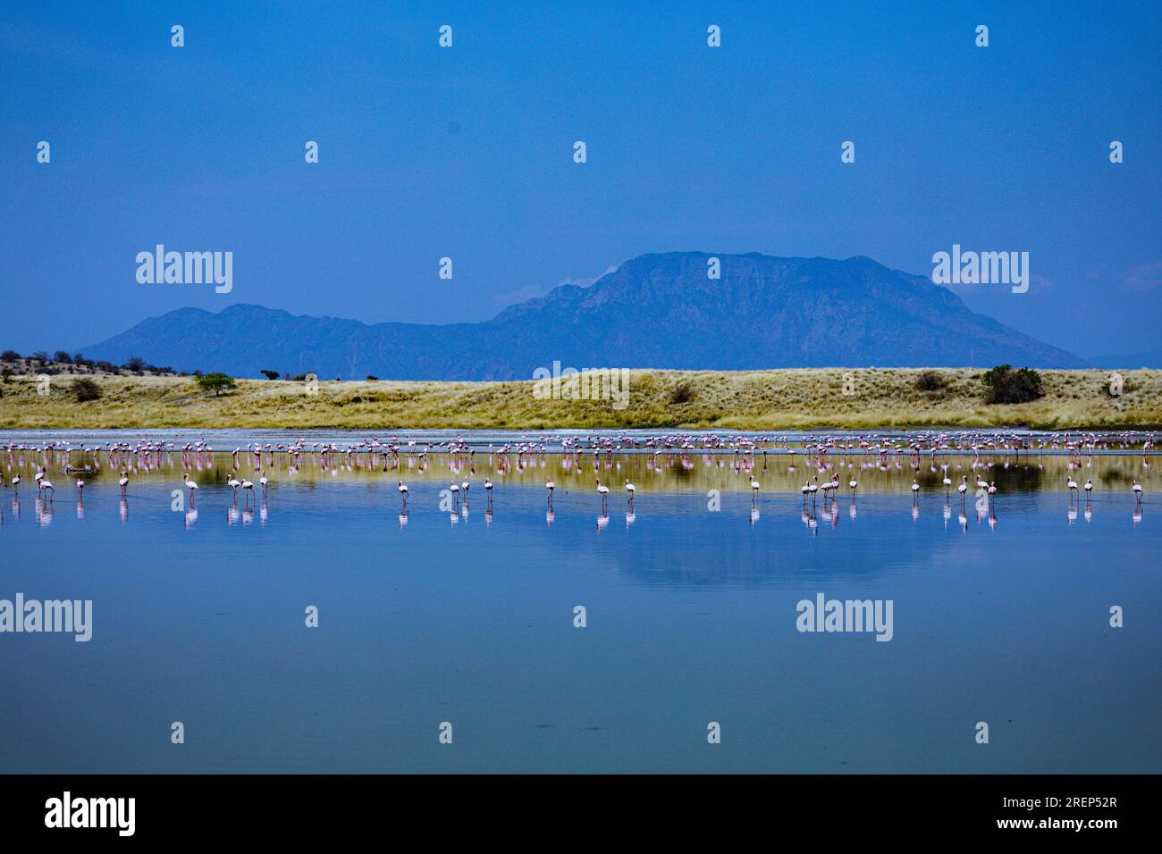 Lake Magadi Lake in Kenya Lake Magadi is the southernmost lake in the Kenyan Rift Valley, lying in a catchment of faulted volcanic rocks, north of Tan Stock Photo