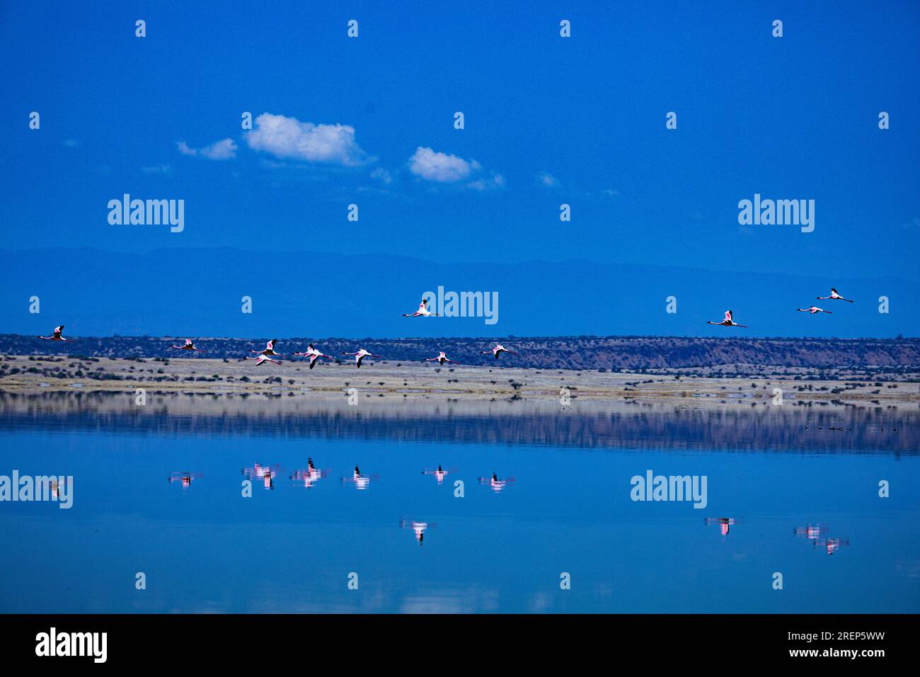 Lake Magadi Lake in Kenya Lake Magadi is the southernmost lake in the Kenyan Rift Valley, lying in a catchment of faulted volcanic rocks, north of Tan Stock Photo
