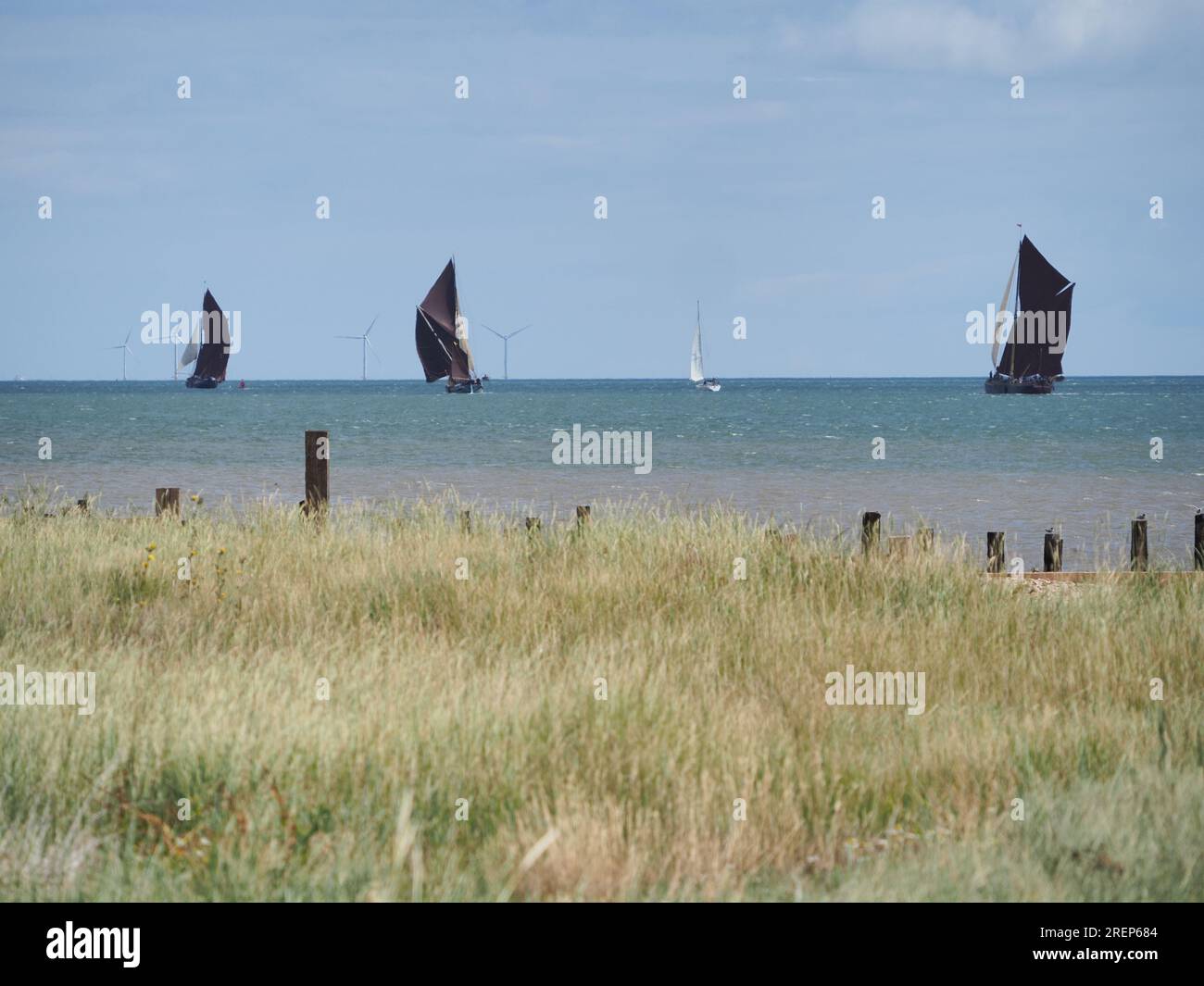 Shellness, Kent, UK. 29th July, 2023. The 50th Swale Thames Sailing