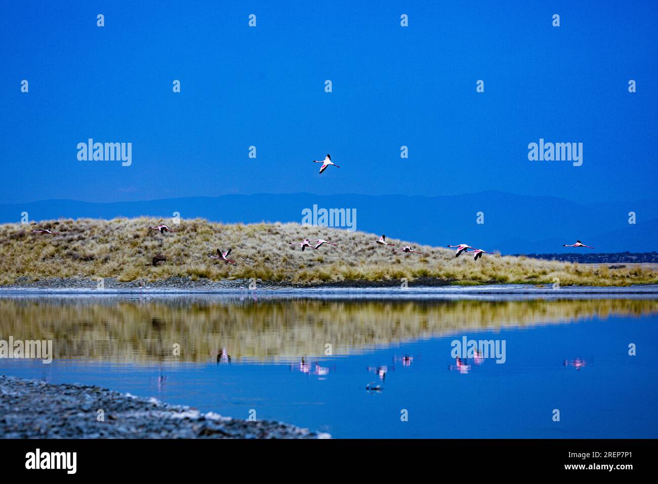 Lake Magadi Lake in Kenya Lake Magadi is the southernmost lake in the Kenyan Rift Valley, lying in a catchment of faulted volcanic rocks, north of Tan Stock Photo