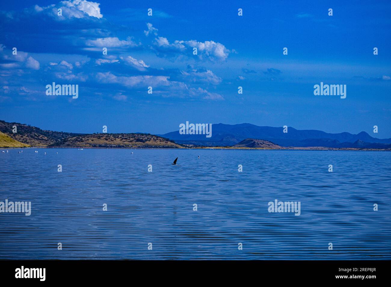 Lake Magadi Lake in Kenya Lake Magadi is the southernmost lake in the Kenyan Rift Valley, lying in a catchment of faulted volcanic rocks, north of Tan Stock Photo