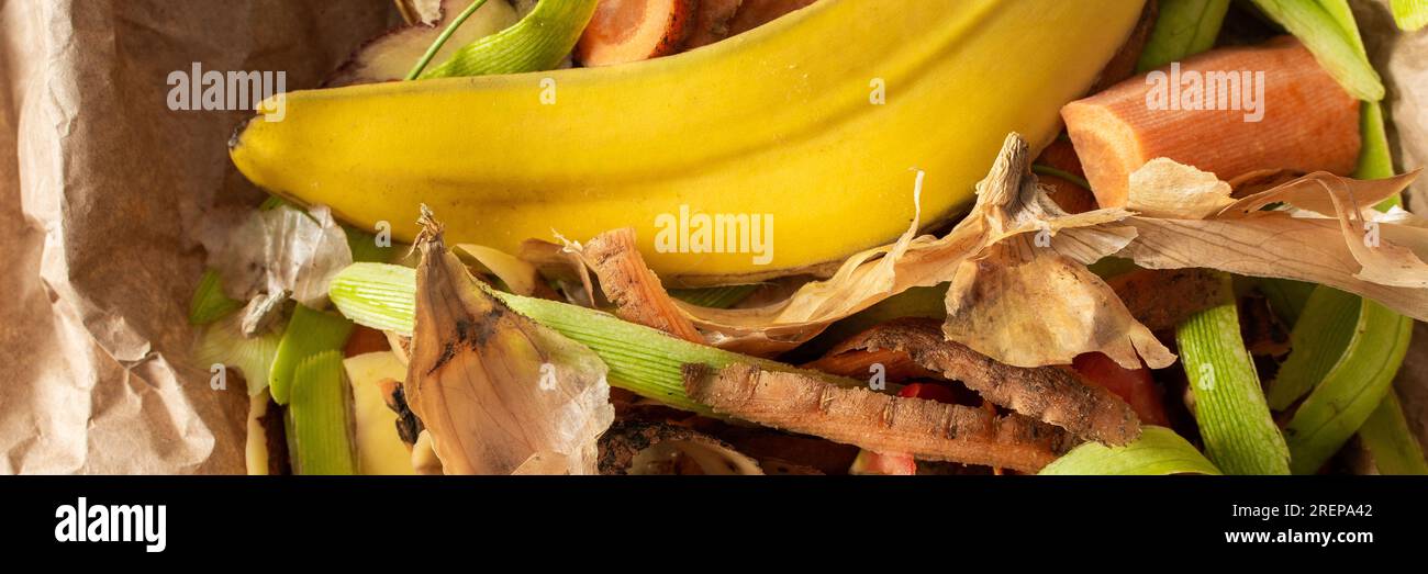 Food organic waste on eco friendly parchment paper, fruit and vegetable