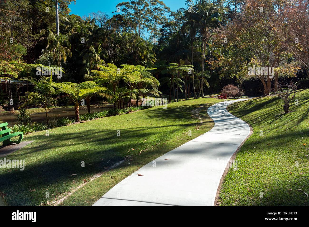 Walking path in Tamborine Mountain Botanic Gardens in Queensland, Australia Stock Photo Alamy