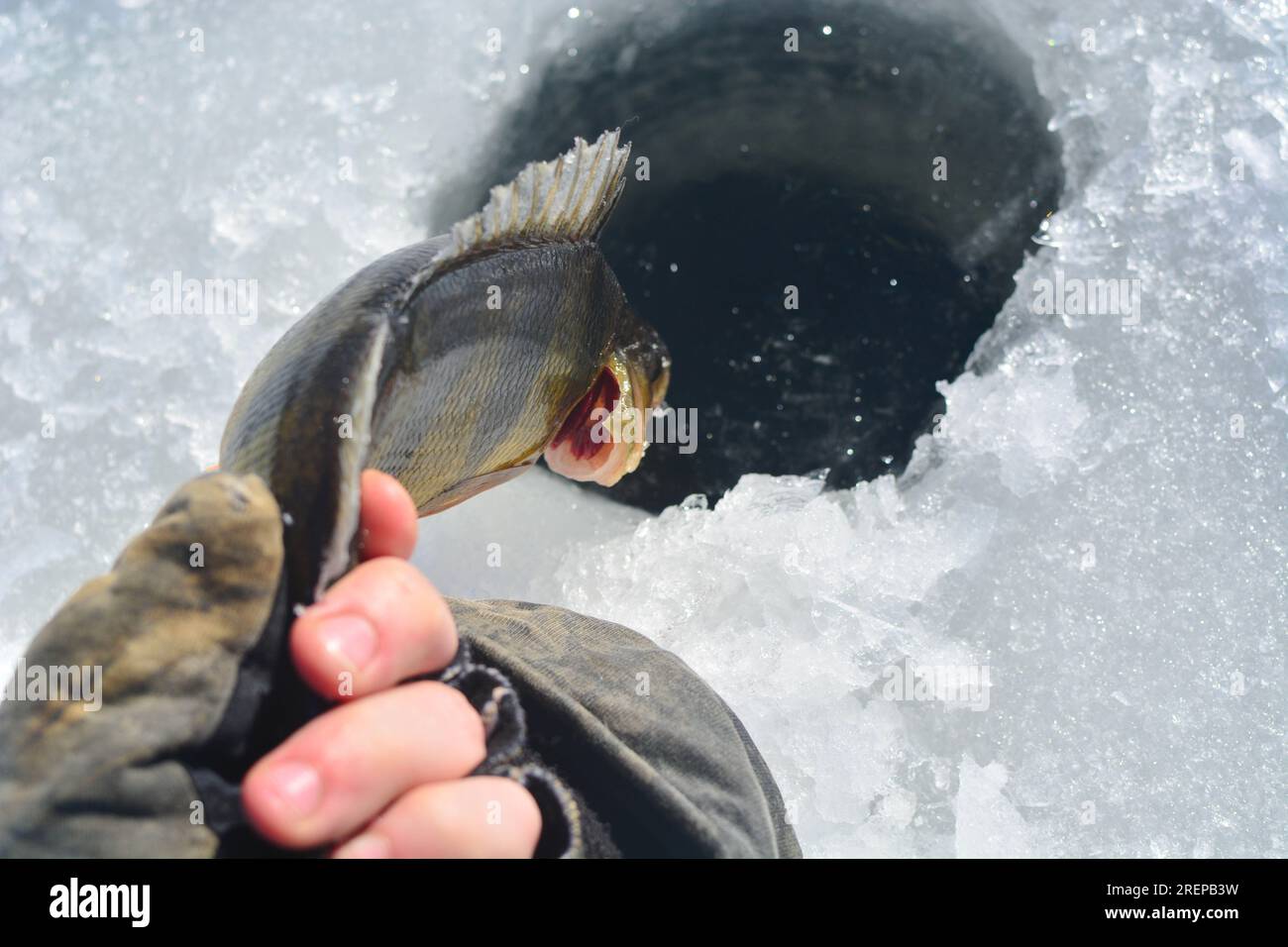 Ice fishing catching fish on ice water activity, hobby leisure Stock Photo