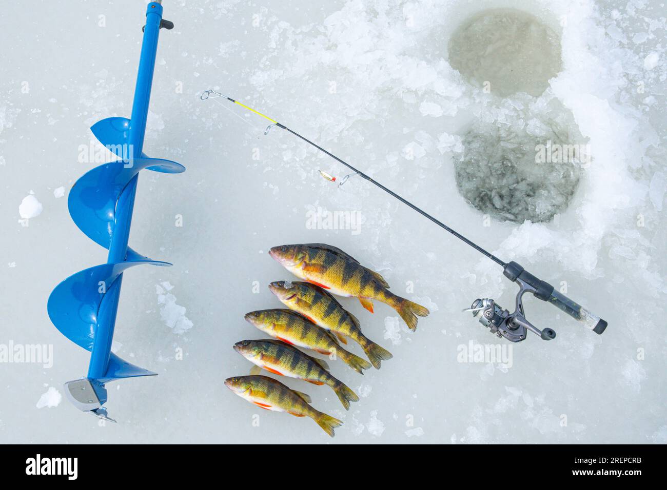 Ice fishing catching fish on ice water activity, hobby leisure Stock