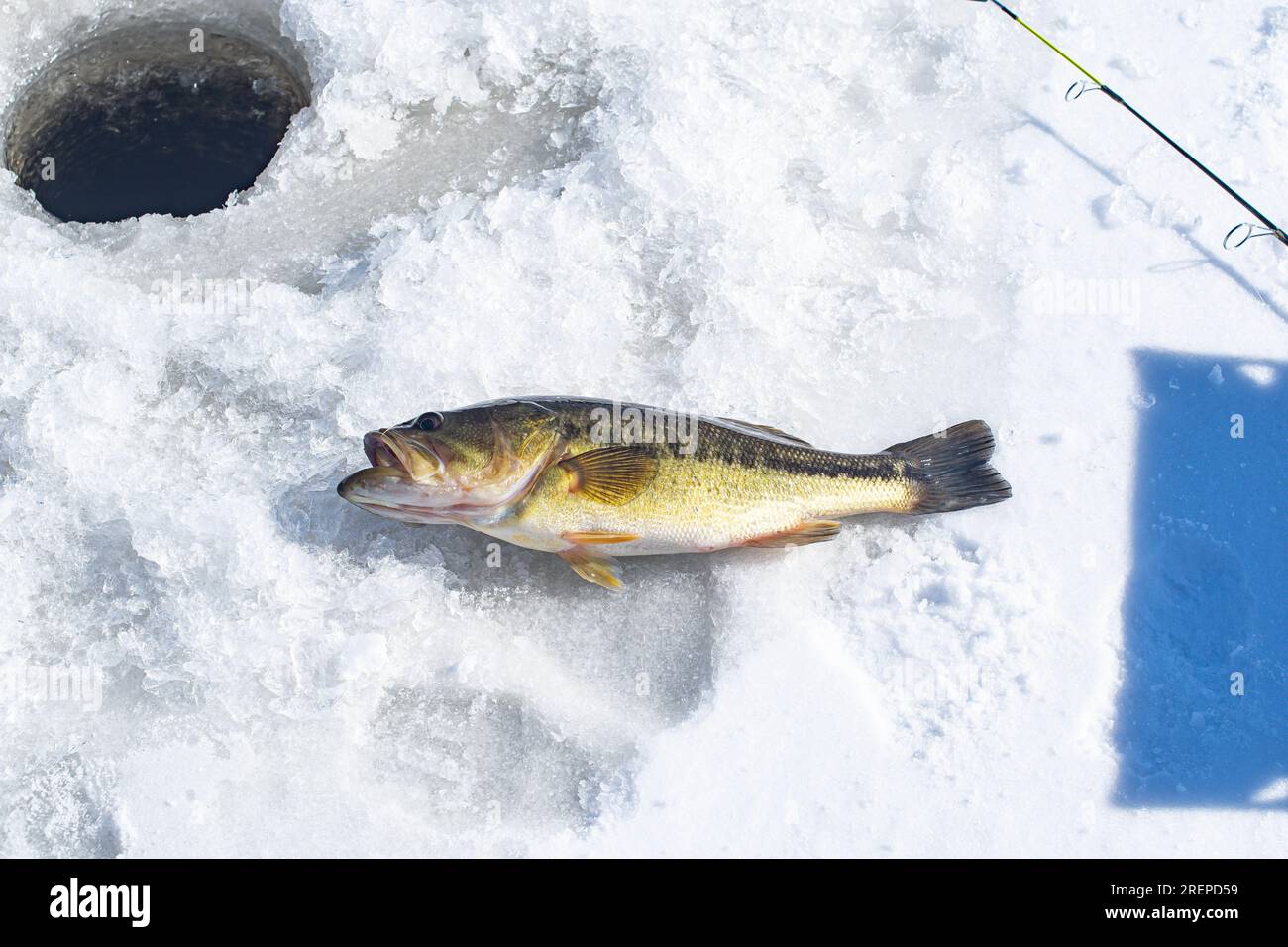 Ice fishing catching fish on ice water activity, hobby leisure Stock Photo
