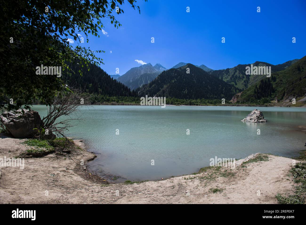 Үлкен жамбастың порнофотосуреттері