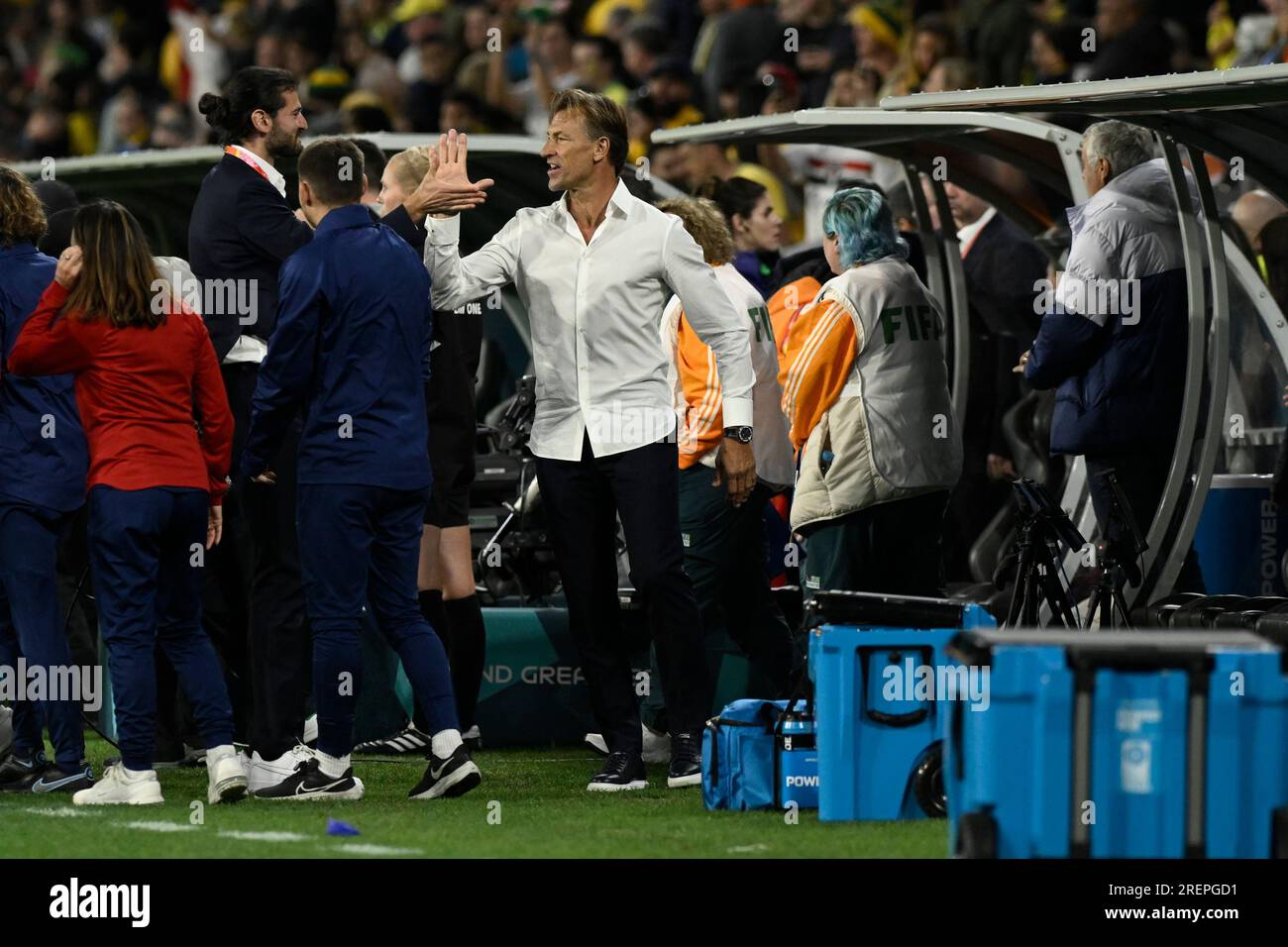 Herve renard hi-res stock photography and images - Page 4 - Alamy