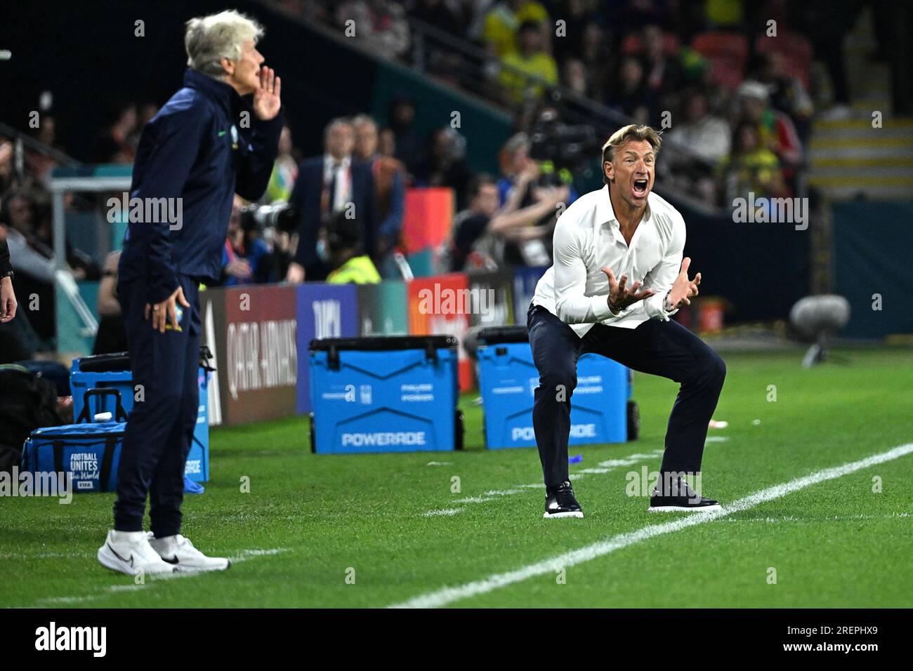 Herve renard hi-res stock photography and images - Alamy