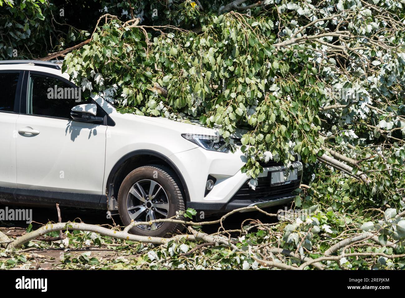 Fallen big tree on the top of parked car because of heavy storm in city. Stock Photo