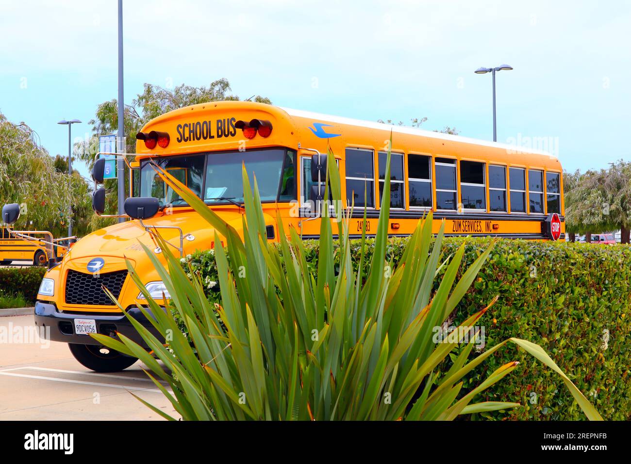 Los Angeles, California School Bus of Zum Services, Inc Stock Photo