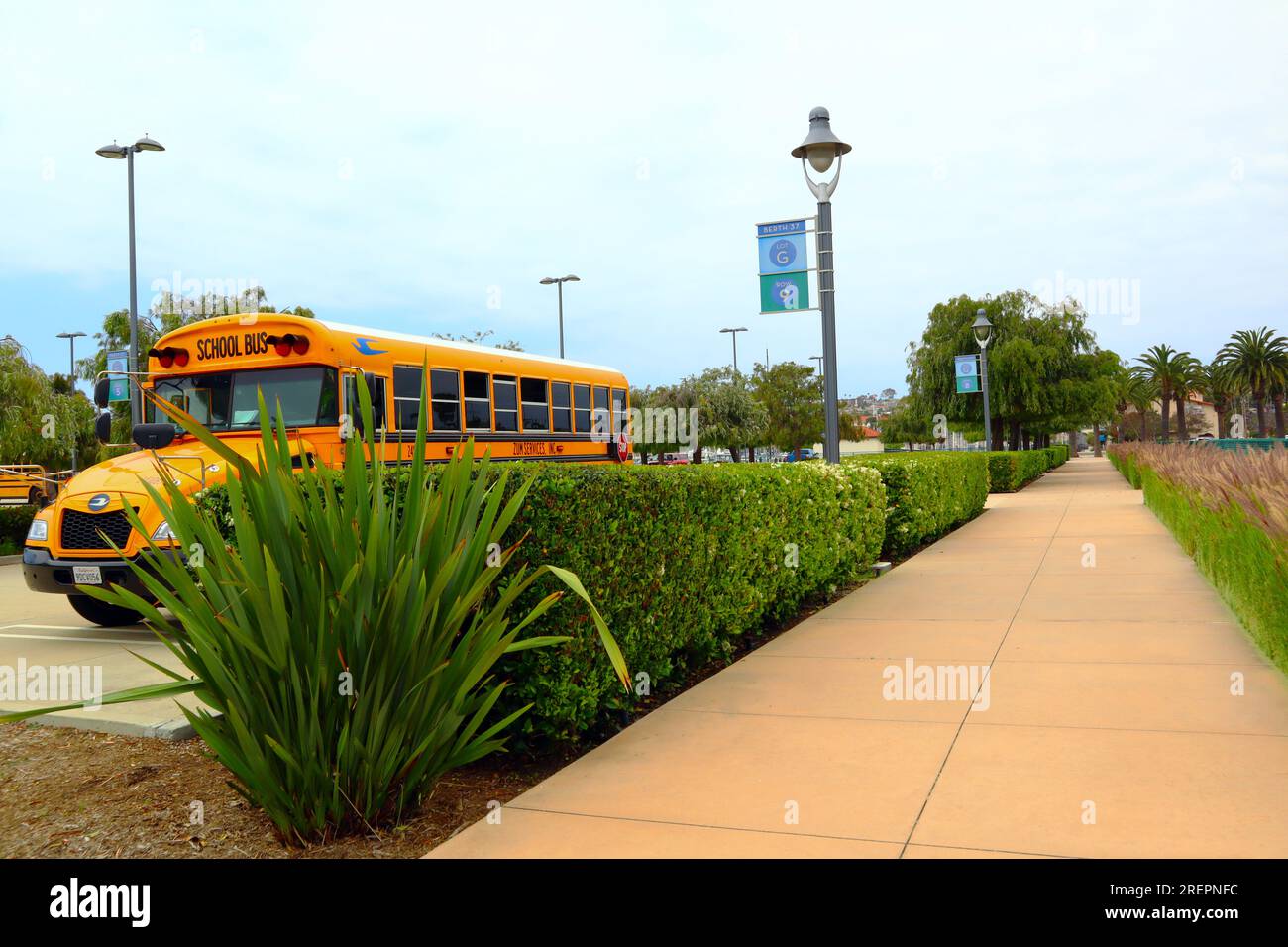 Los Angeles, California: School Bus of Zum Services, Inc Stock Photo ...