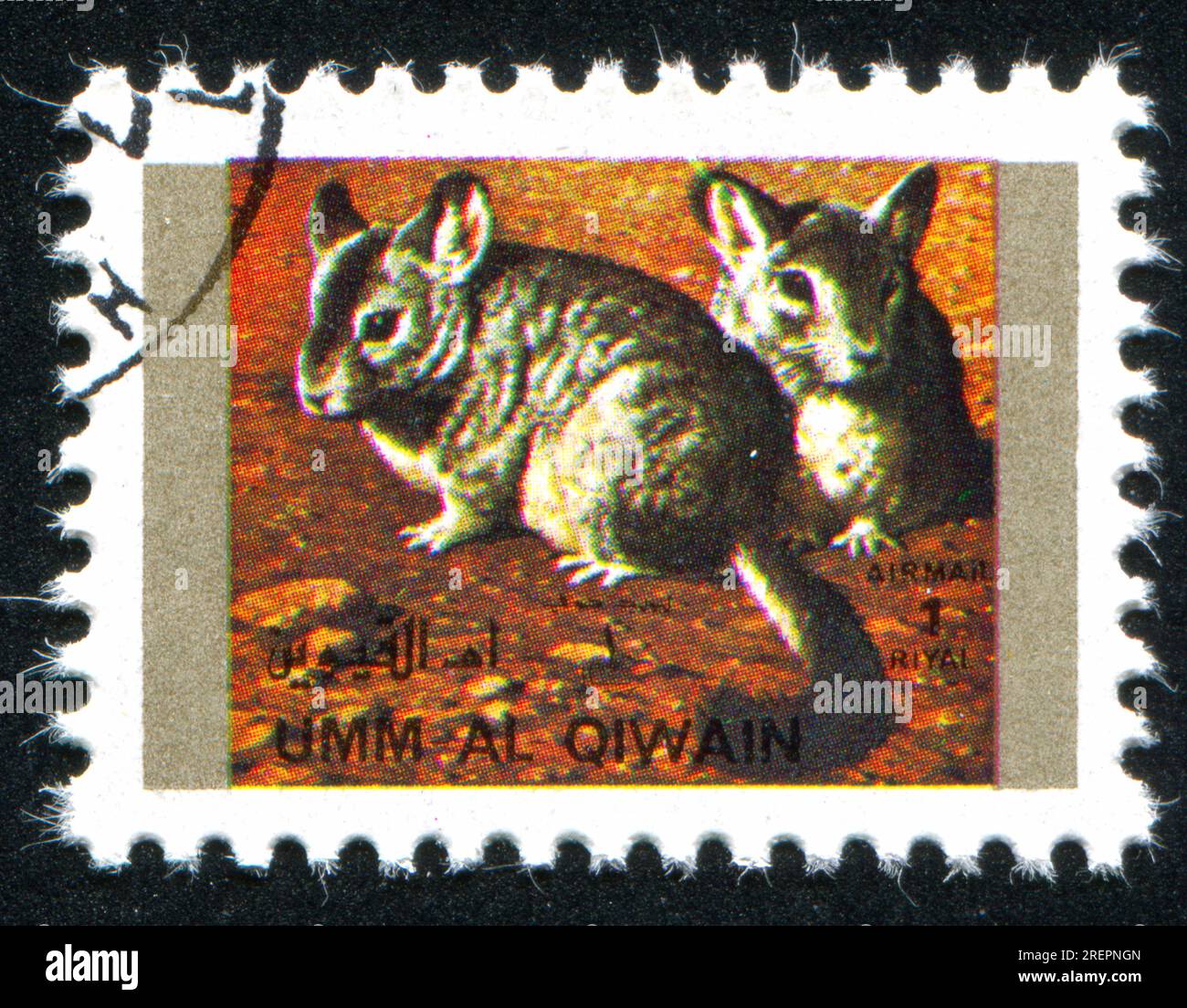 UMM AL-QUWAIN - CIRCA 1972: stamp printed by Umm al-Quwain, shows Chinchillas, circa 1972 Stock Photo