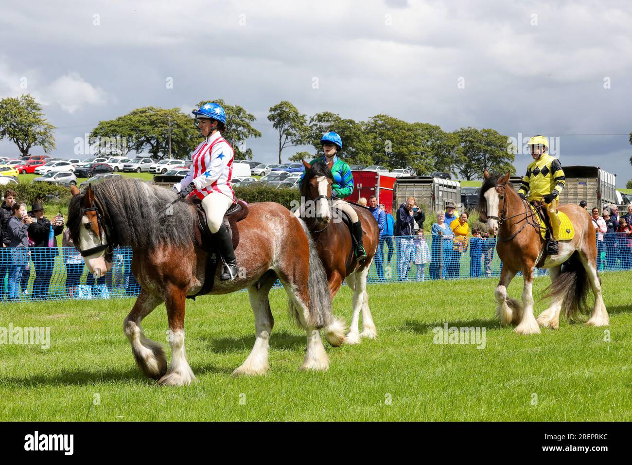 Clydesdale horse scotland hires stock photography and images Alamy
